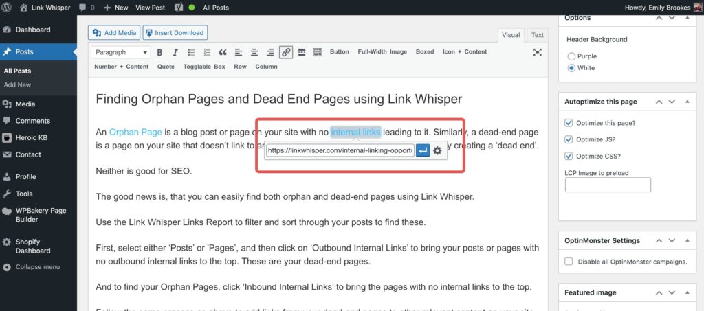 A screenshot showing how to add a URL when adding an outbound link in WordPress.