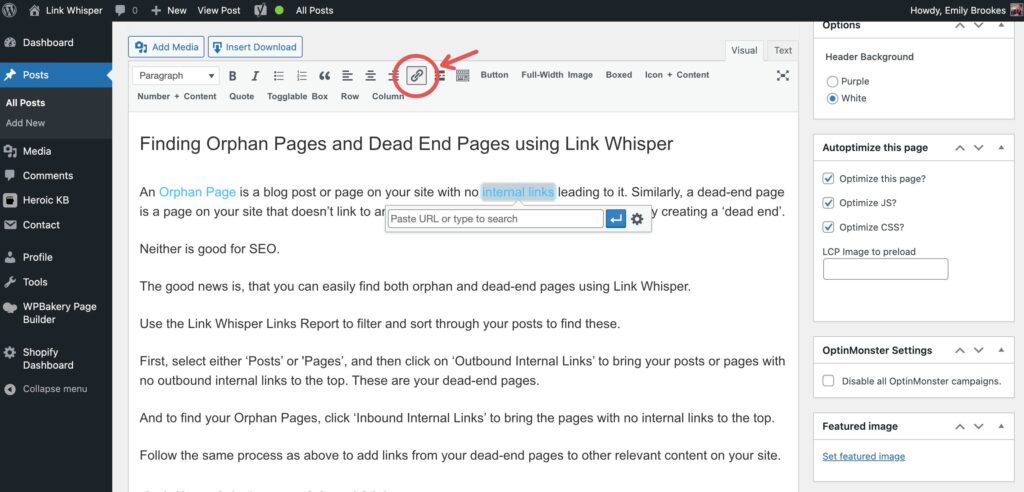 A screenshot showing where to find the "Add link" button in the WordPress editor.