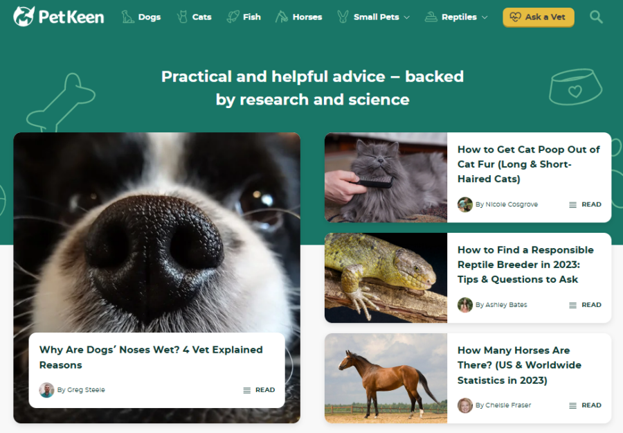 17 Super Successful Amazon Affiliate Website Examples - Link Whisper