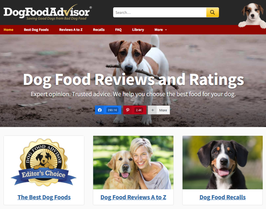 17 Super Successful Amazon Affiliate Website Examples - Link Whisper